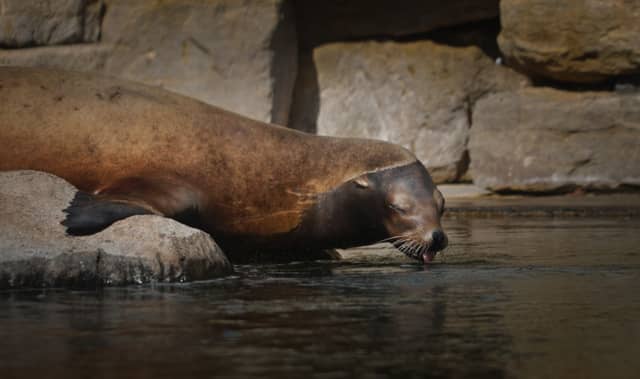 Dublin Zoo - Image 1