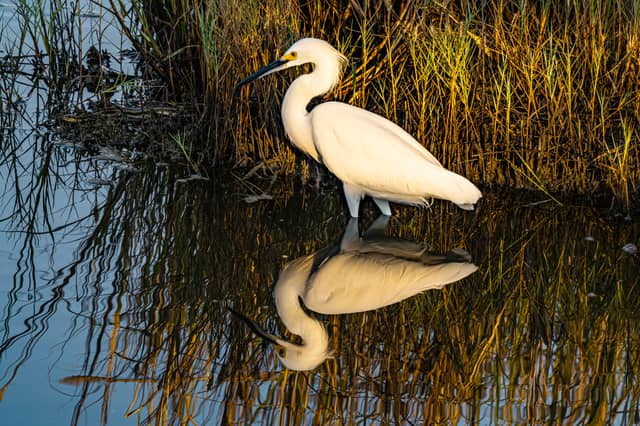 Powderhorn Wildlife Management Area - Image 1