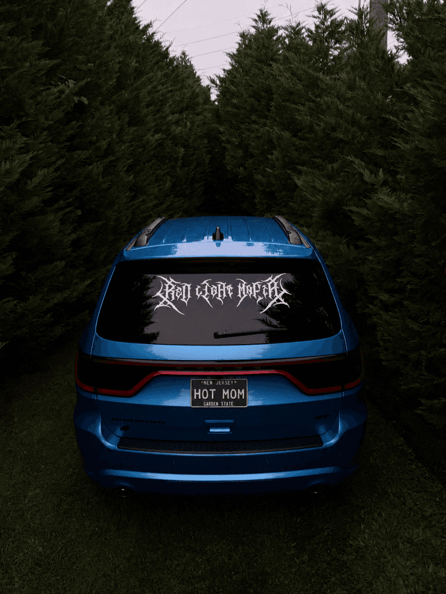Berlin Evergreen Driveway - Image 1