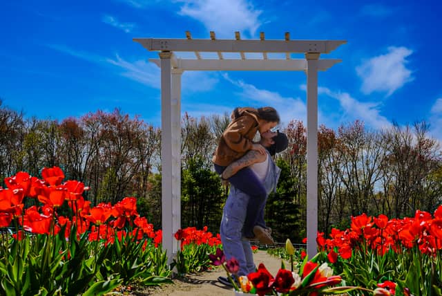 The Berkley Tulip Farm - Image 1