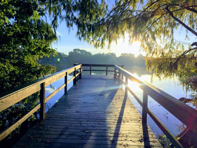 Bay Lake Pier - Image 1
