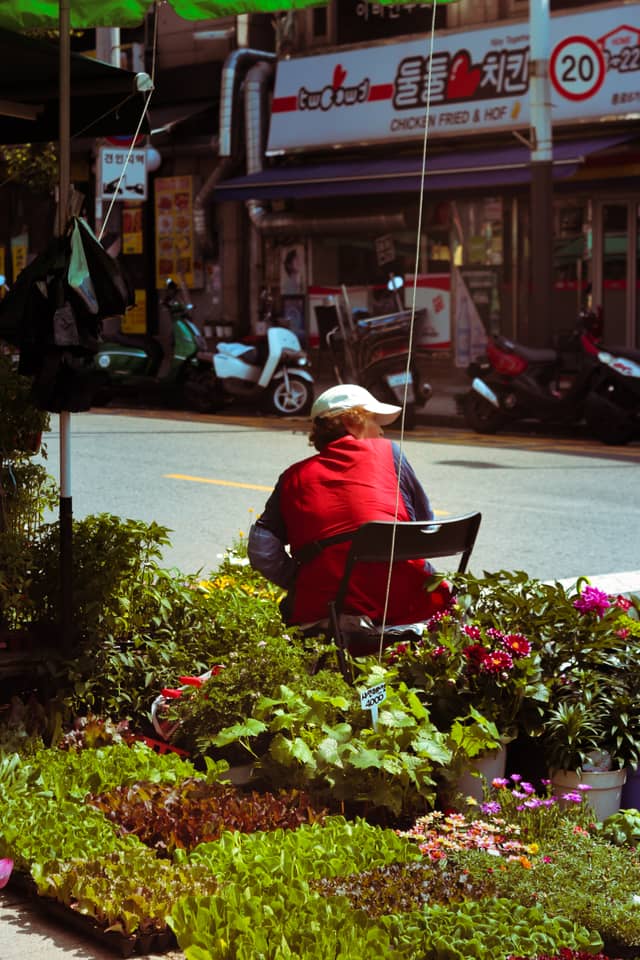 Sejong-daero Street Scene - Image 1