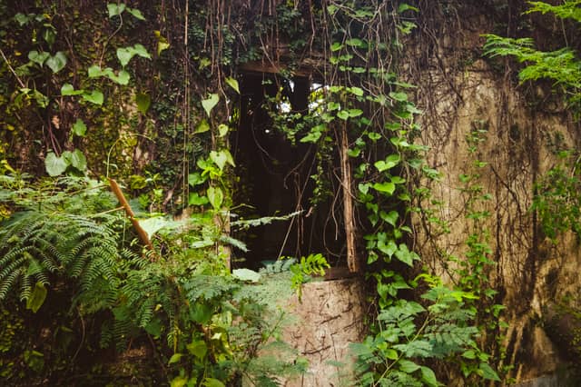 Overgrown Ruins of Lake Town - Image 1