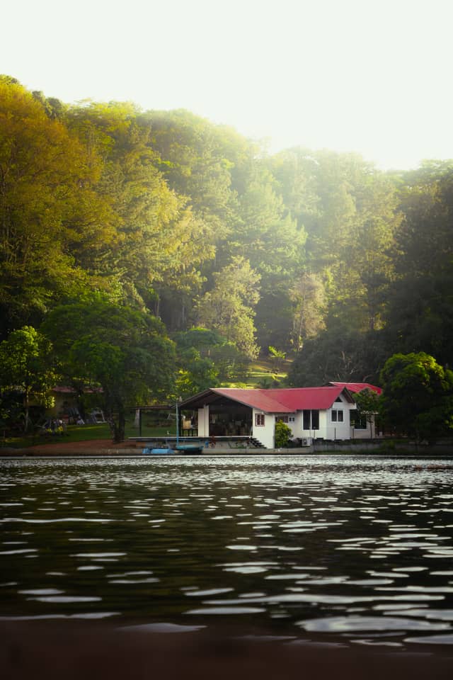Lake Alajuela Shoreline - Image 1