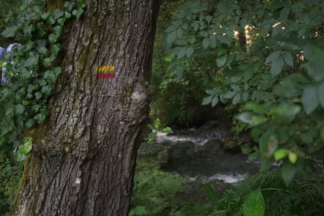 Uíma River Trail - Image 1