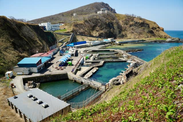 Otaru Aquarium Marine Park - Image 1