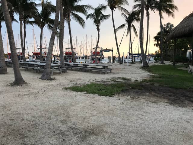 Robbie's of Islamorada - Image 1