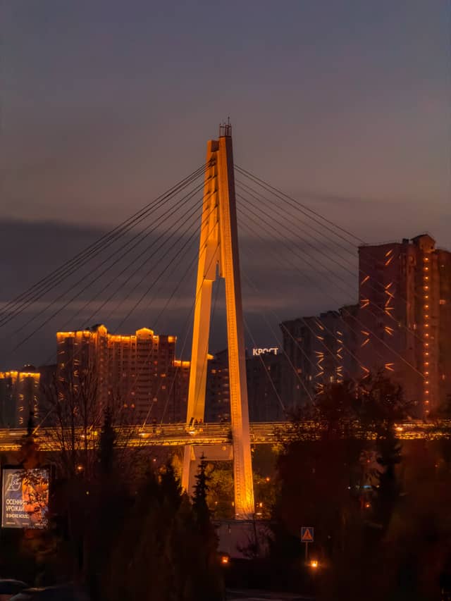 Pavshinsky Bridge - Image 1