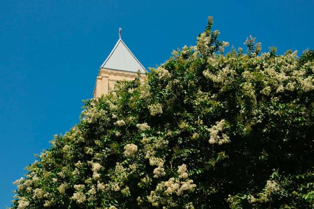 St. John the Baptist Catholic Church - Image 1