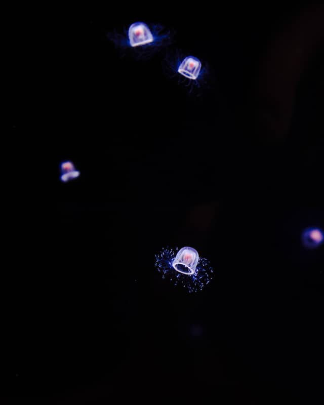 Aqua World Oarai Aquarium - Image 1