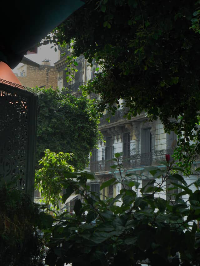 Algiers Colonial Architecture View - Image 1