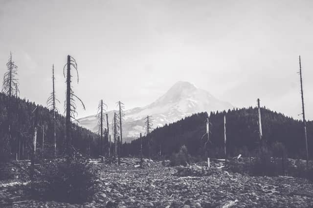 Mount Hood North Face Overlook - Image 1