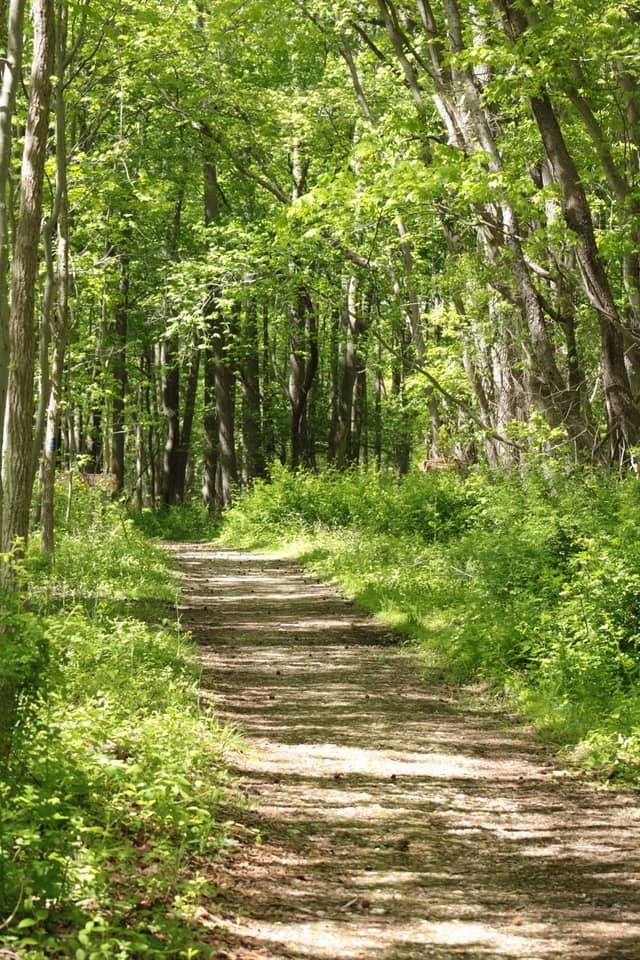 Marshy Point Nature Center - Image 1