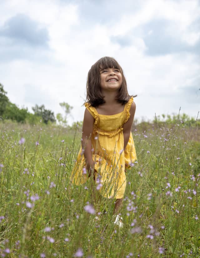 Oak Grove Park Wildflower Fields - Image 1