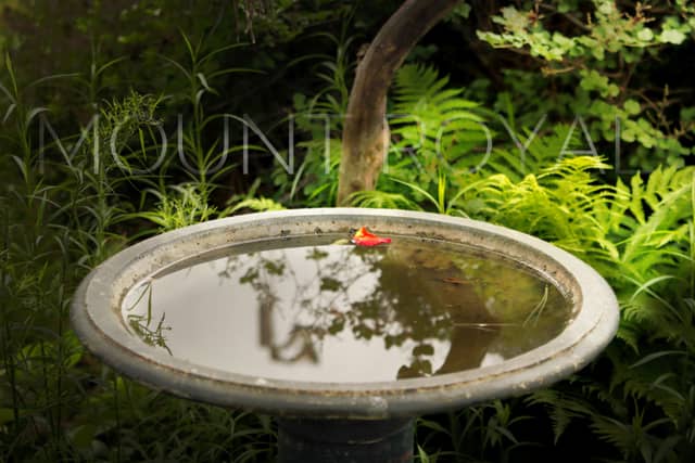 Mount Royal Garden Birdbath - Image 1