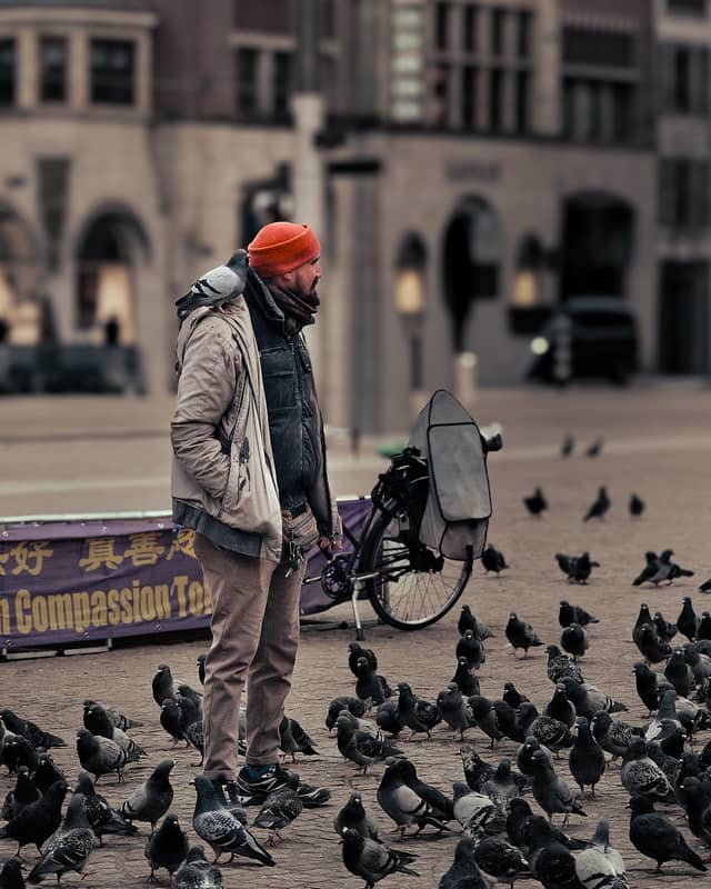 Dam Square - Image 1