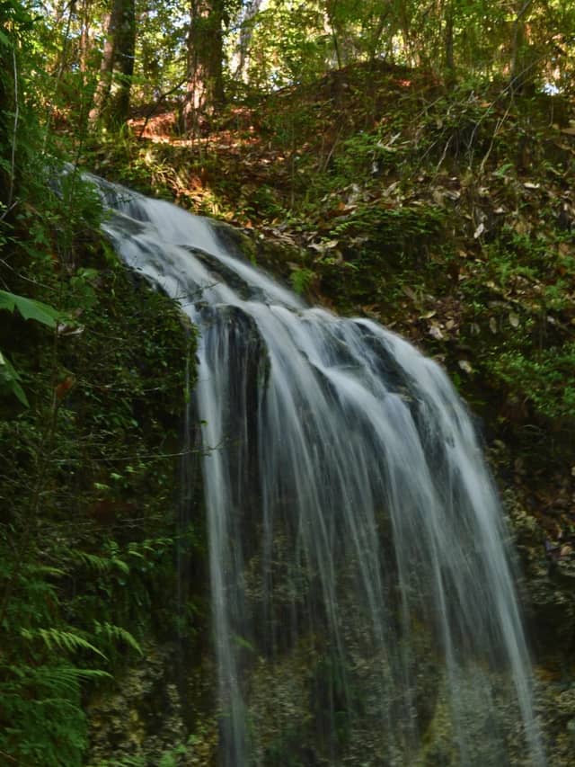 Falling Waters State Park - Image 1