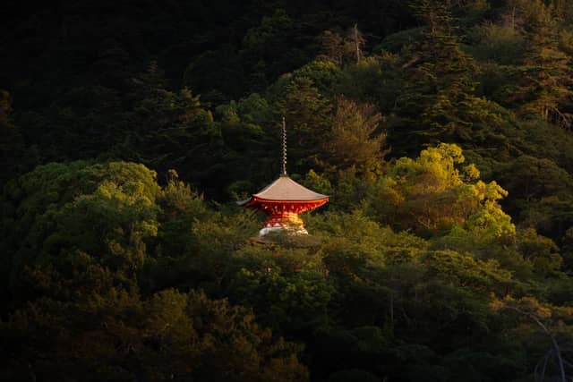 Tahoto Pagoda, Miyajima - Image 1