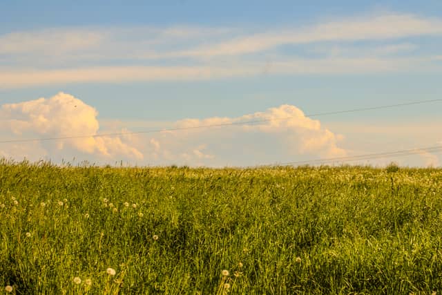 Dietenhofen Meadows - Image 1