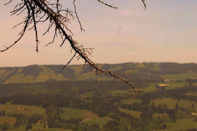 Allgäu Valley Overlook - Image 1