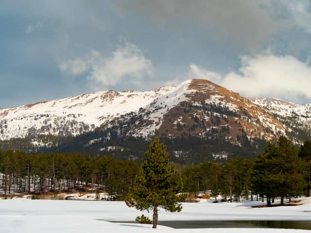 Sandras Mountain - Image 1