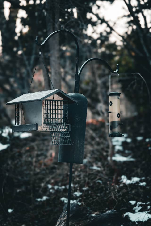 Montclair Garden Birding Spot - Image 1