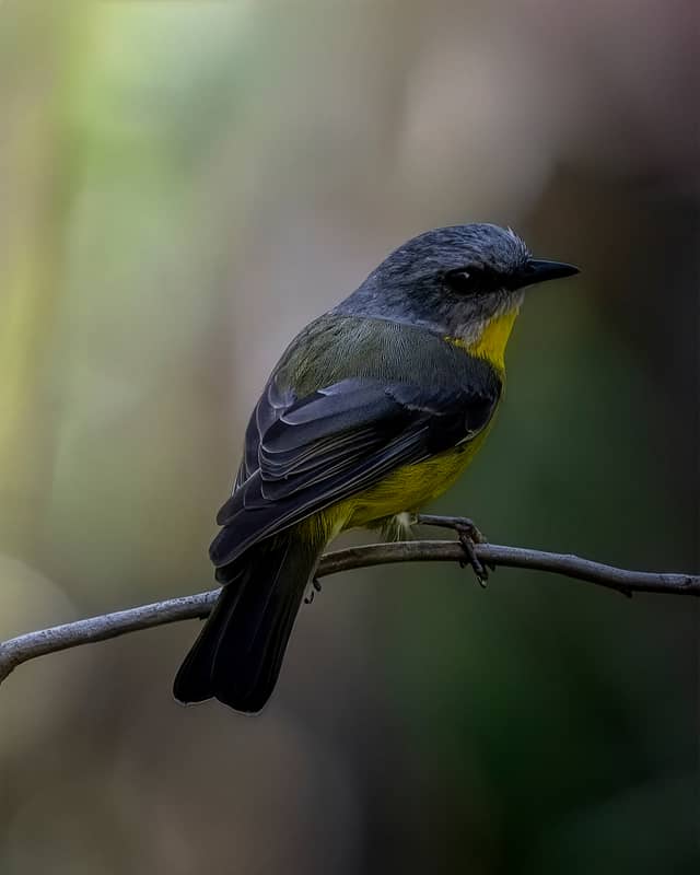 Coombabah Lake Conservation Park - Image 1
