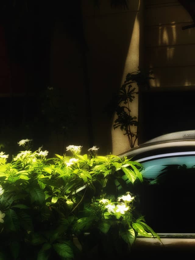 Bidhannagar Urban Garden Details - Image 1