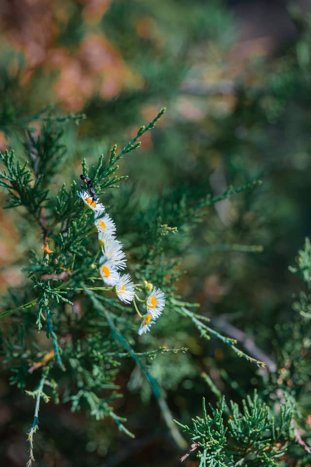 Ramapo Lake Loop Trail - Image 1