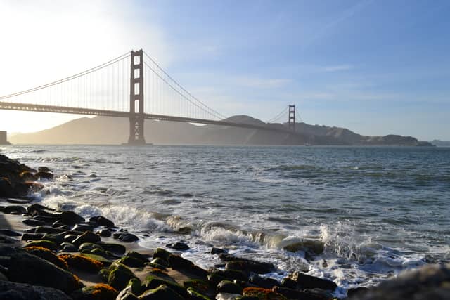 Crissy Field Shoreline - Image 1
