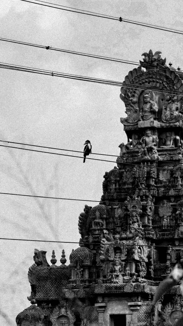 Thanjavur Temple Gopuram - Image 1
