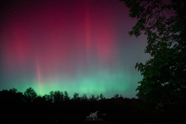 Foster Kentucky Night Sky - Image 1