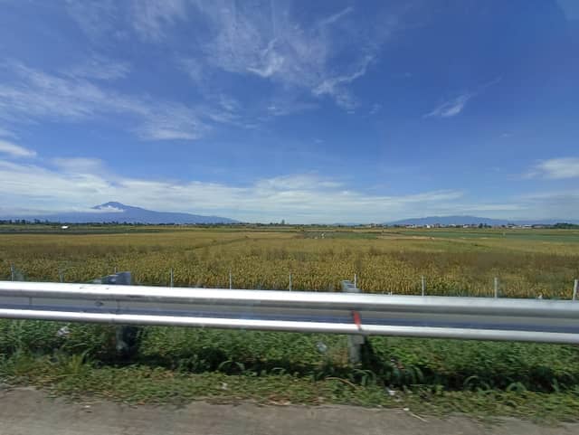 Brebes Agricultural Plains - Image 1