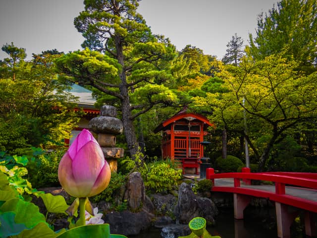 Takahata Fudoson Kongoji Temple - Image 1