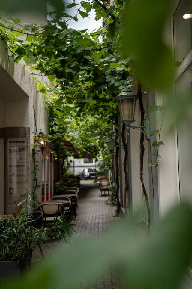 Lütke Gasse Vine Alley - Image 1