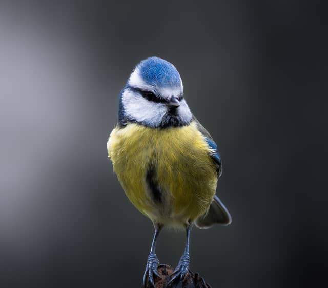 Warburg Nature Reserve - Image 1