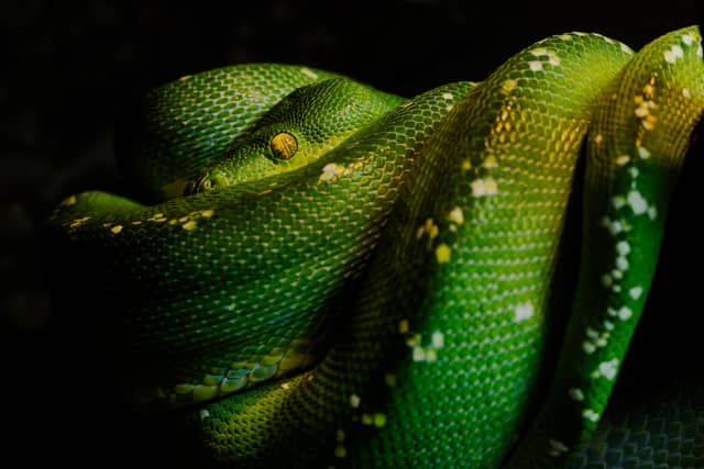 Cotswold Wildlife Park & Gardens - Image 1
