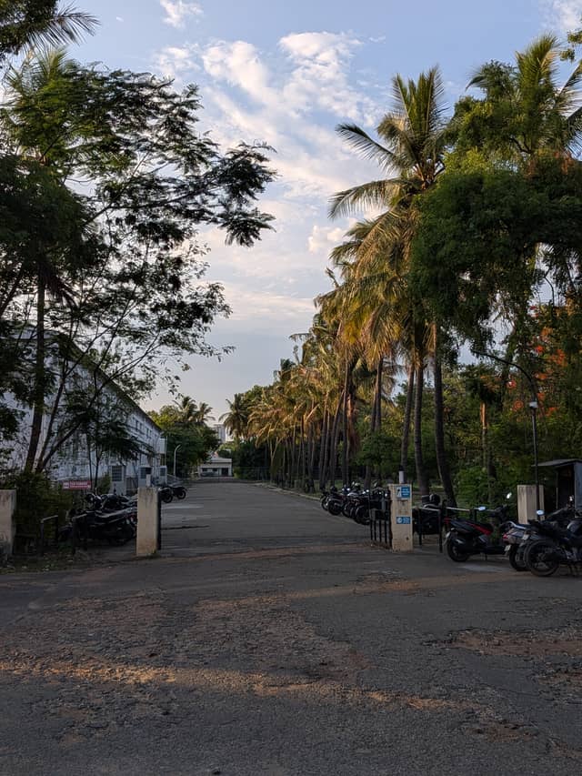 Palm-Lined Campus Drive, Coimbatore - Image 1