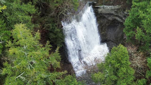 Whiteman Gully Falls - Image 1