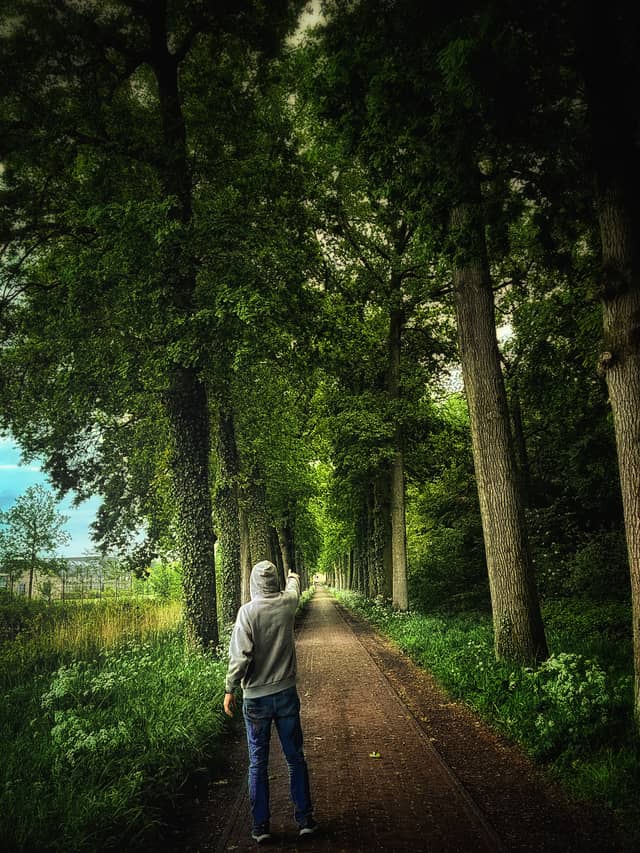 Amersfoort Green Belt Path - Image 1