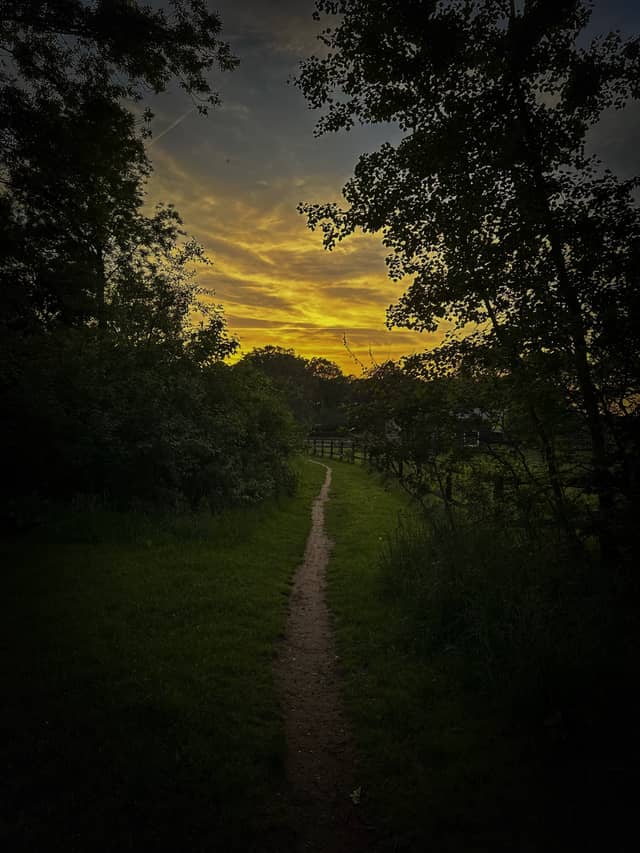 Bronkhorst Countryside Path - Image 1