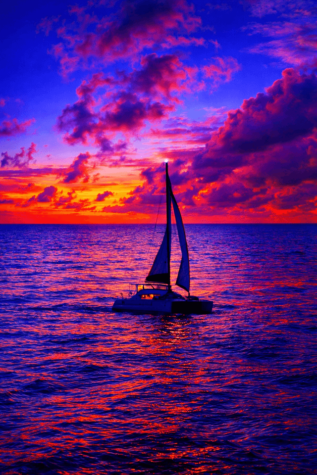 Mallory Square Sunset - Image 1