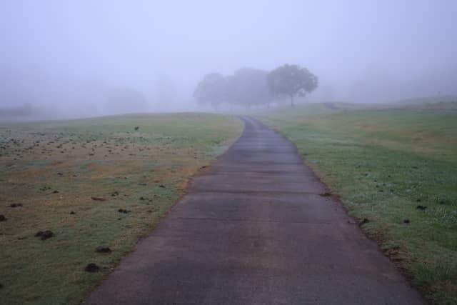 Kooralbyn Valley Foggy Path - Image 1