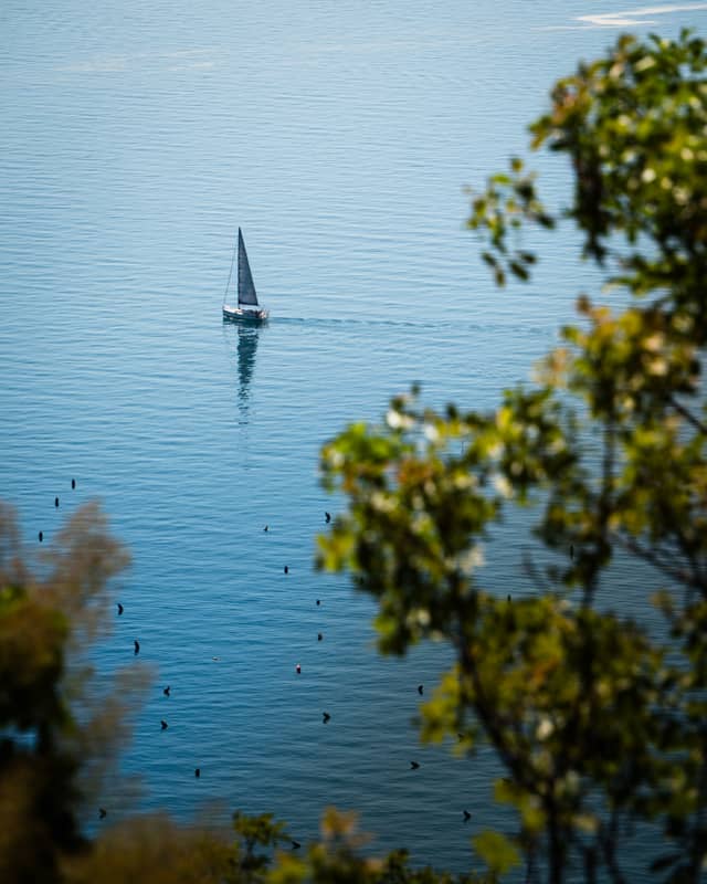 Gulf of Trieste Overlook - Image 1