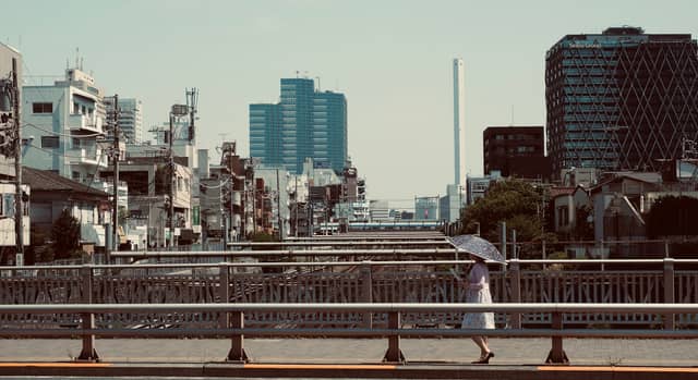Koiwa Railway Overlook - Image 1
