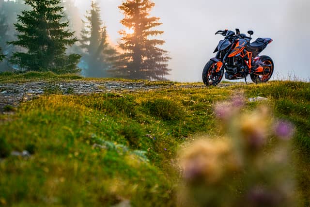 Pyrenees Mountain Pass Overlook - Image 1