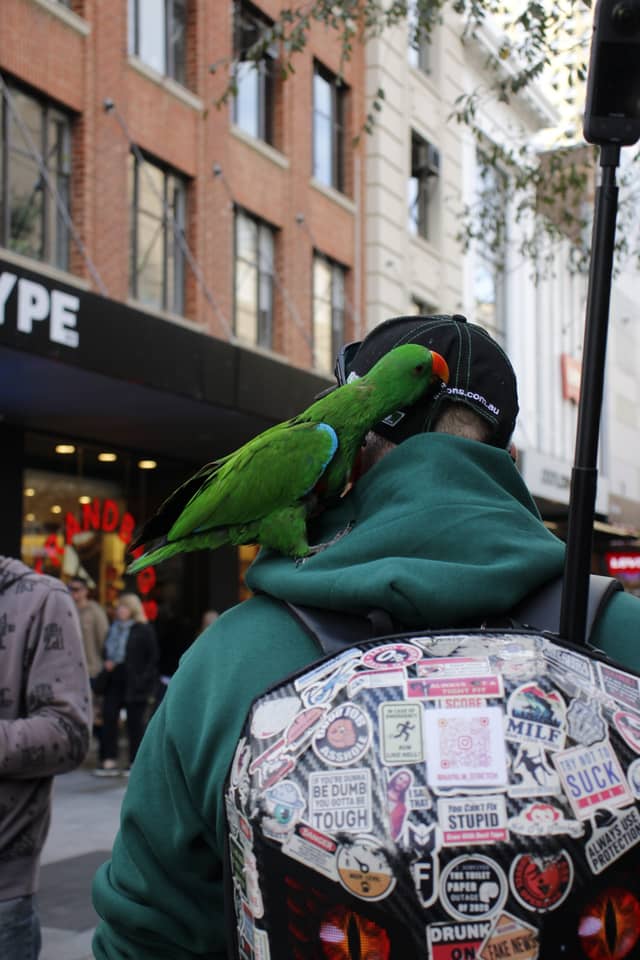 Rundle Mall - Image 1