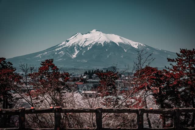 Mount Iwaki from Hirosaki Park - Image 1