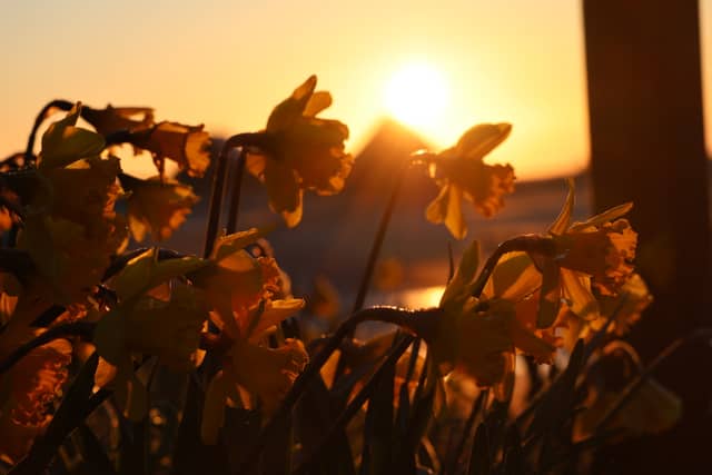 Alnwick Spring Sunset - Image 1