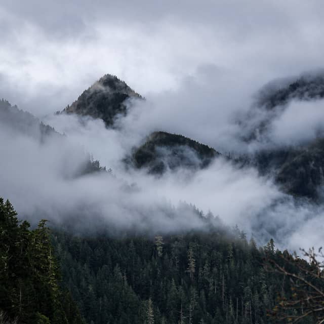 Olympic National Park Misty Peaks - Image 1